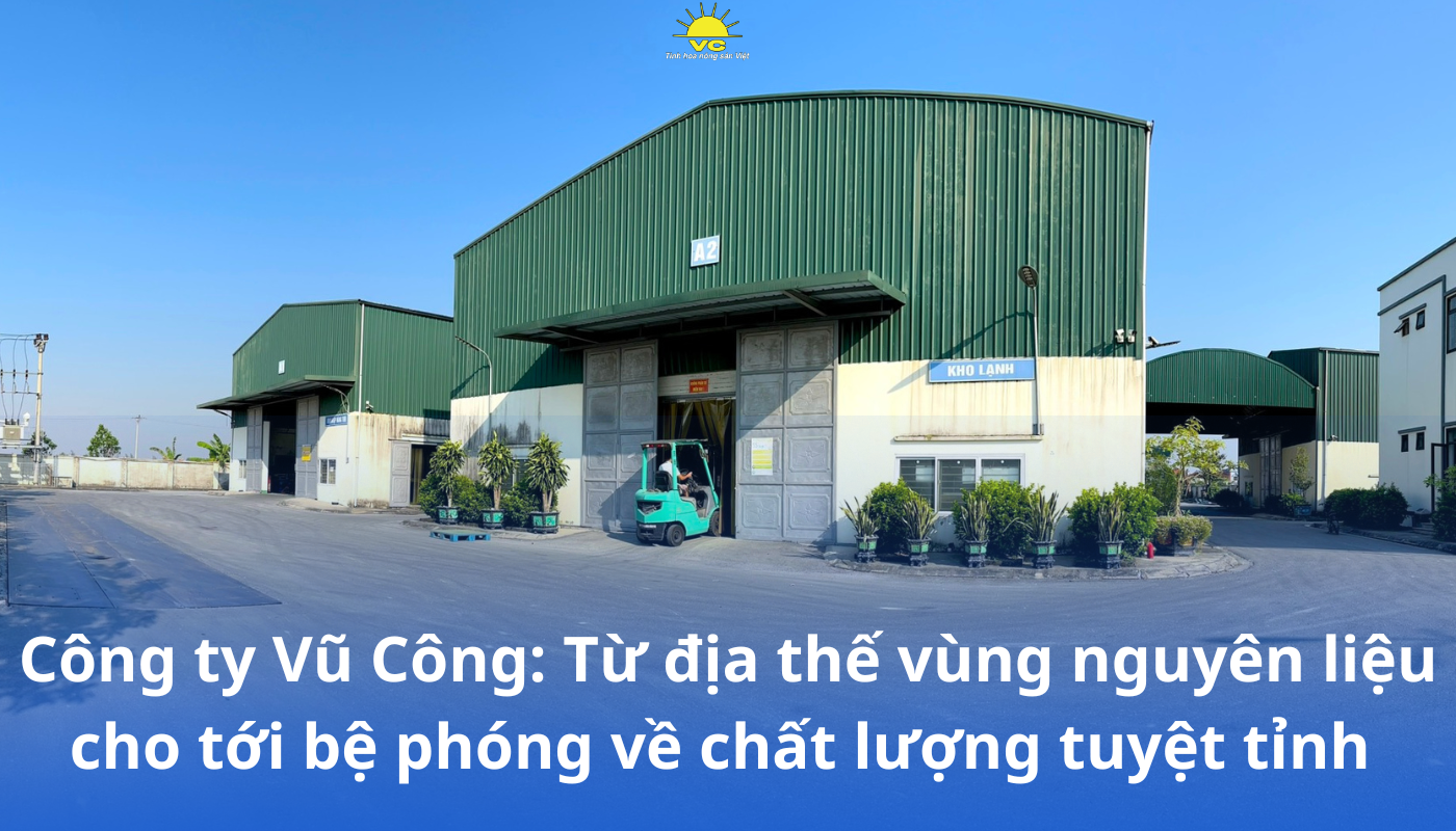 Công ty Vũ Công: Từ địa thế vùng nguyên liệu cho tới bệ phóng về chất lượng tuyệt tỉnh