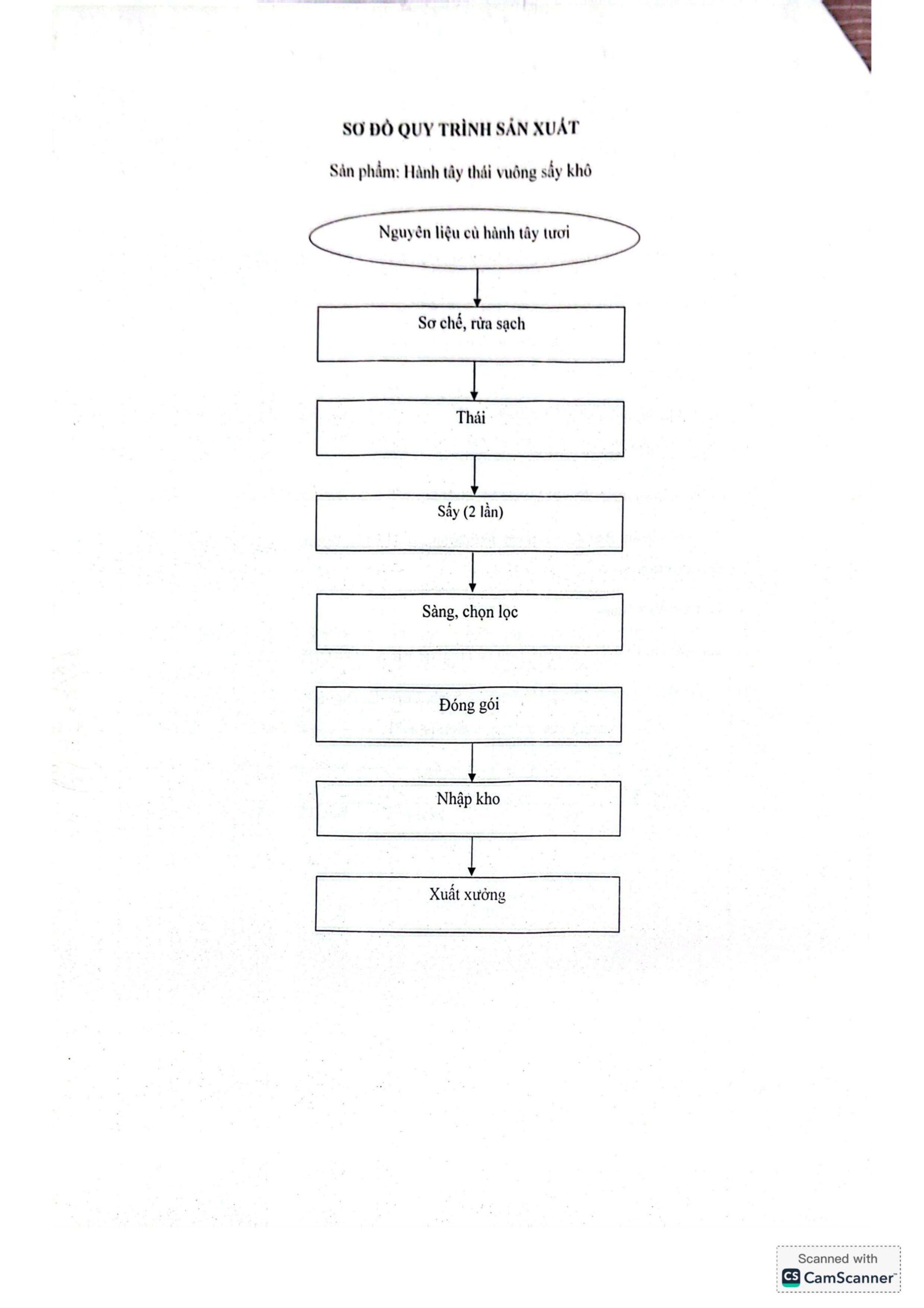 TCB hành tây thái vuông sấy khô-hình ảnh-5