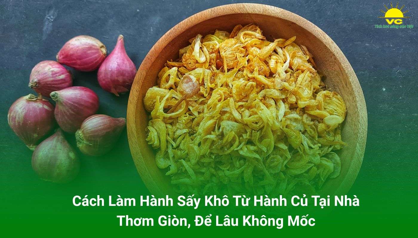 cách àm hành sấy khô ngon