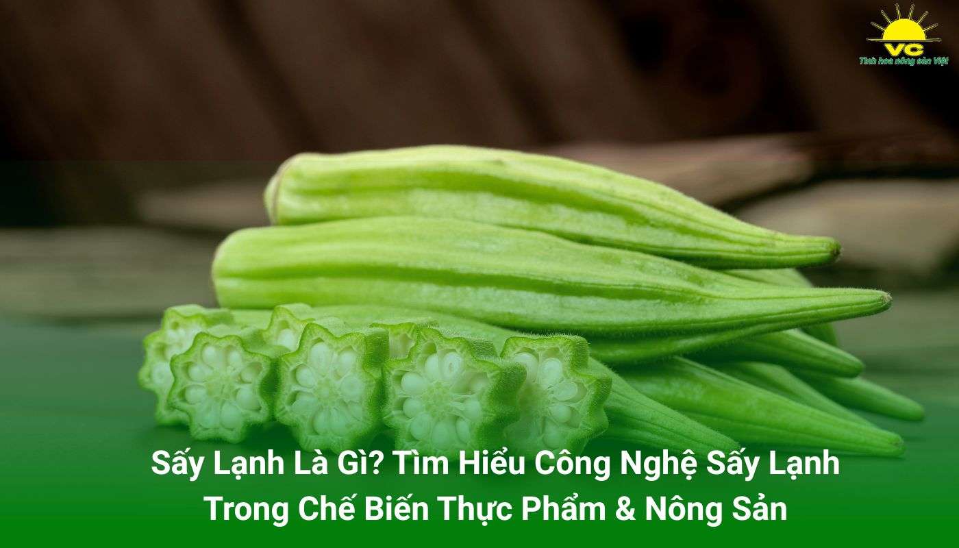 Công nghệ sấy lạnh