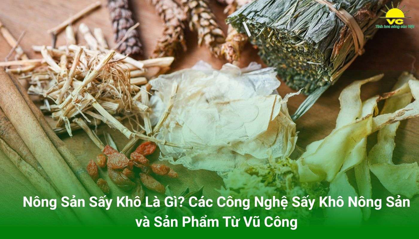 Nông sản sấy khô là gì ava