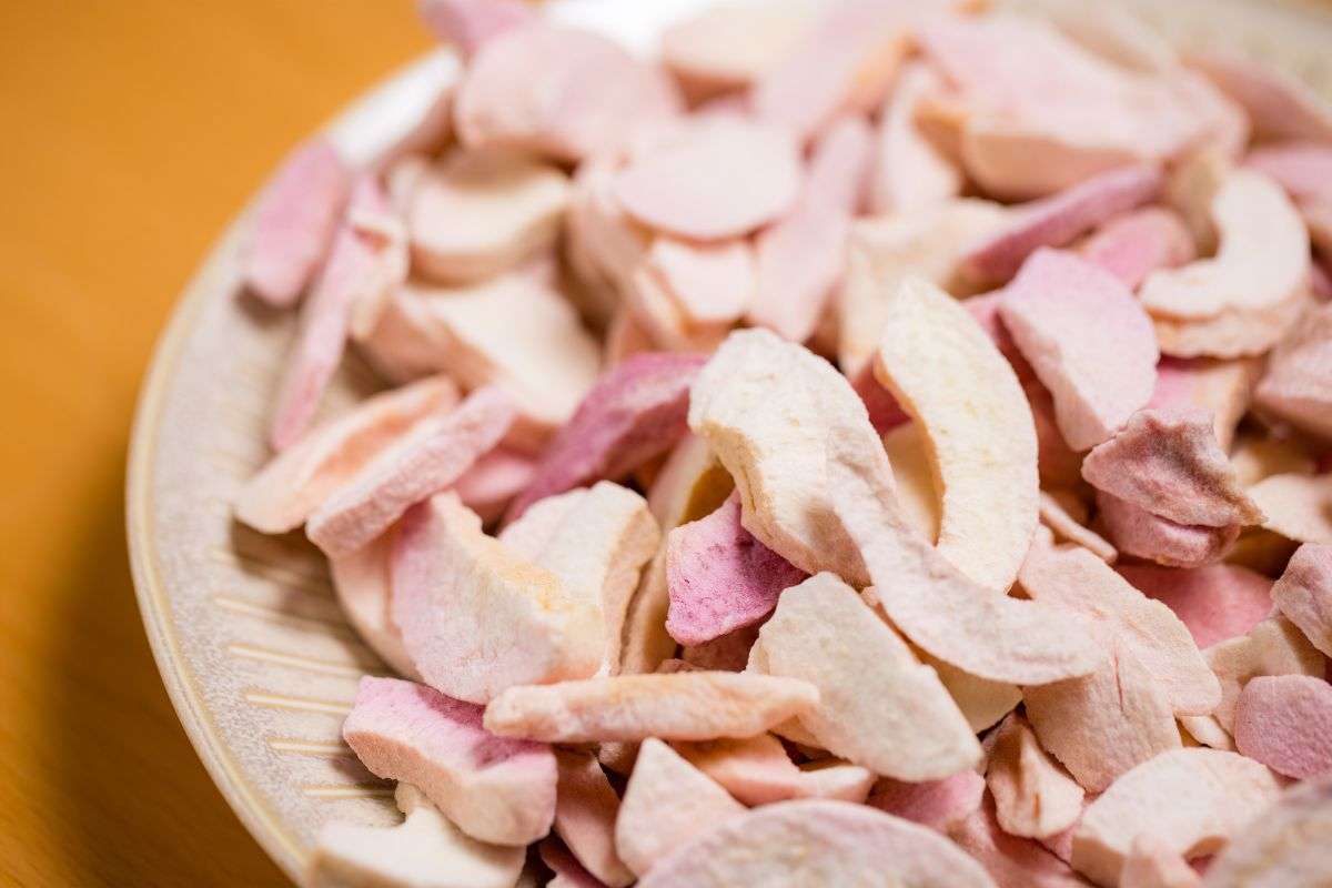 Sấy Lạnh Là Gì? Tìm Hiểu Công Nghệ Sấy Lạnh Trong Chế Biến Thực Phẩm & Nông Sản