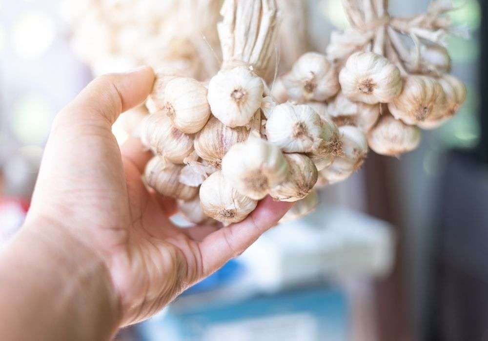Tỏi Sấy Khô – Thực Phẩm Vàng Cho Sức Khoẻ Từ Nông Sản Vũ Công