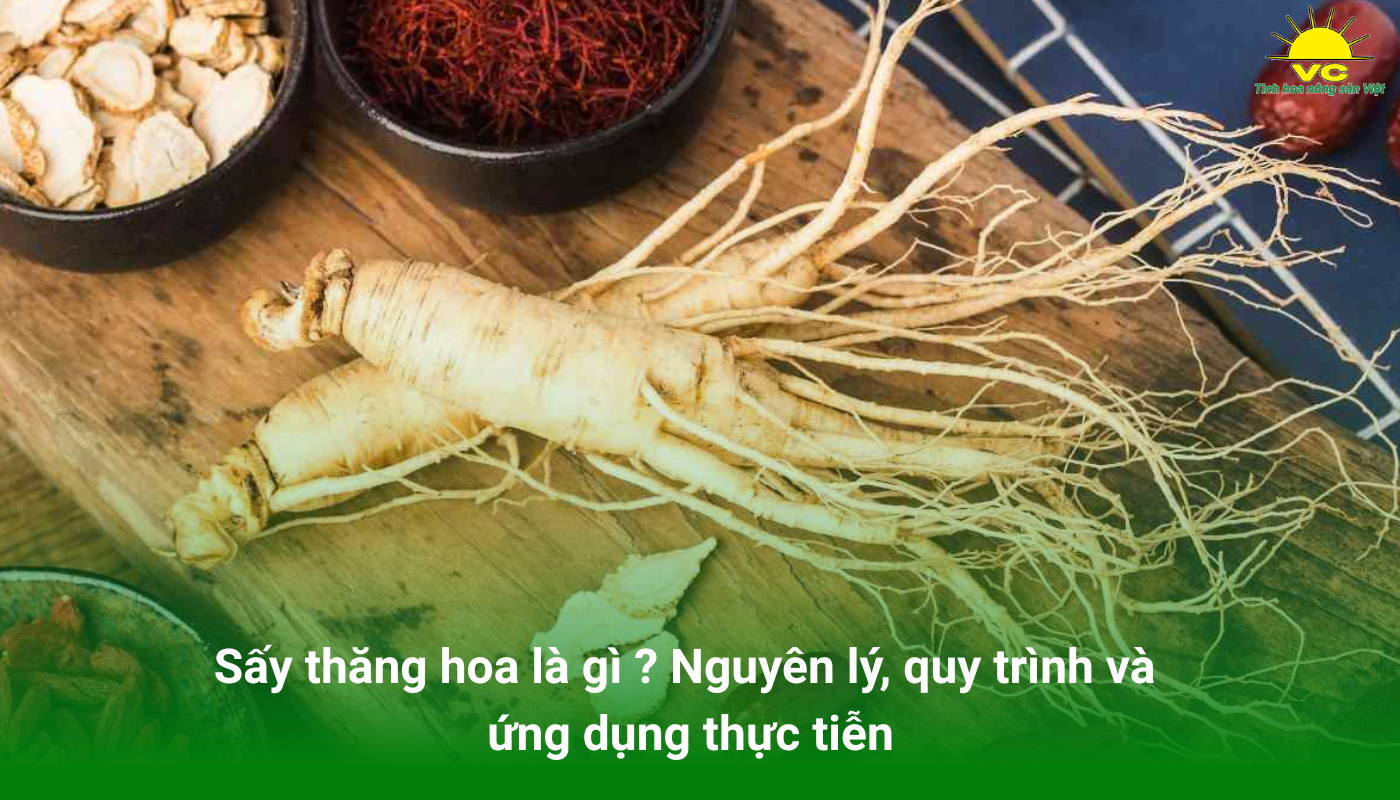 Sấy thăng hoa là giải pháp sấy hiện đại, giúp giữ được tối ưu giá trị của nguyên liệu