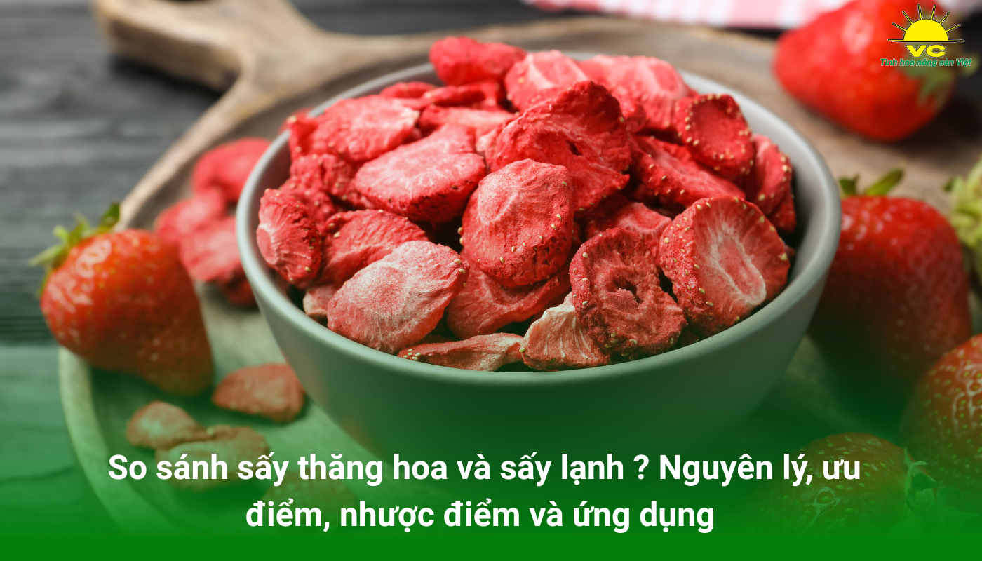 So sánh sấy thăng hoa và sấy lạnh: Nguyên lý, ưu điểm, nhược điểm và ứng dụng