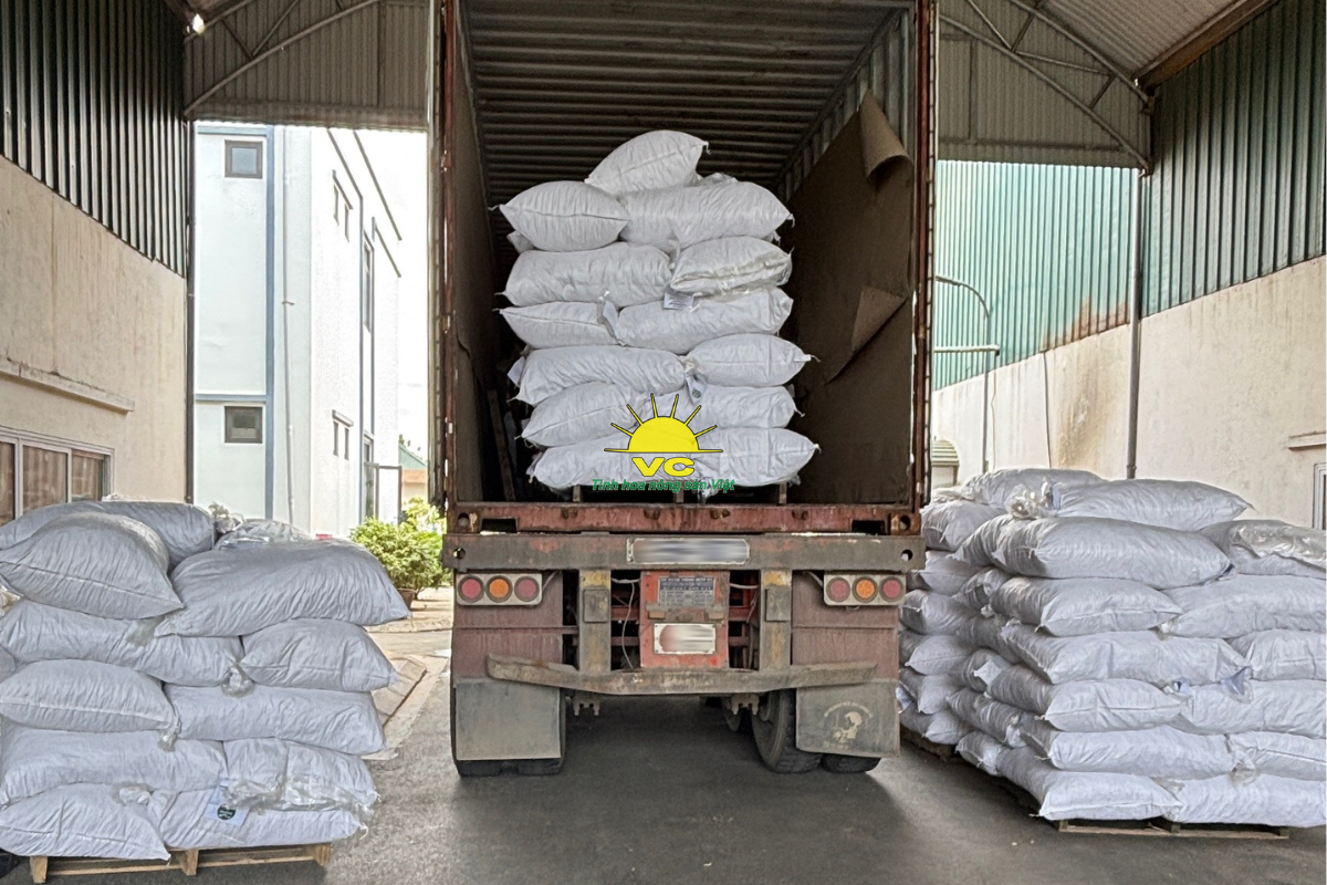 Công ty Vũ Công – Hành trình từ hộ kinh doanh gia đình đến đế chế nông sản xuất khẩu toàn cầu