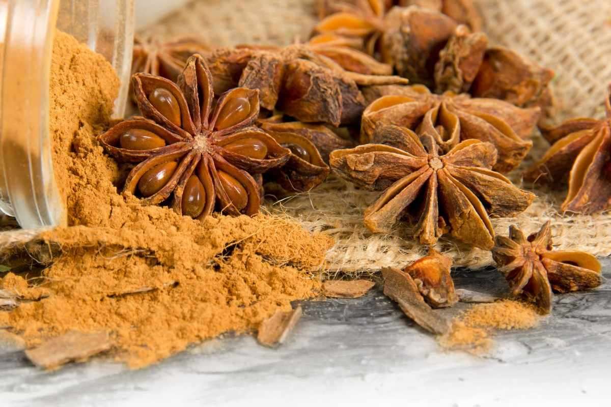 Dịch Vụ Vận Chuyển Hoa Hồi Sang Nga An Toàn, Đảm Bảo Chất Lượng