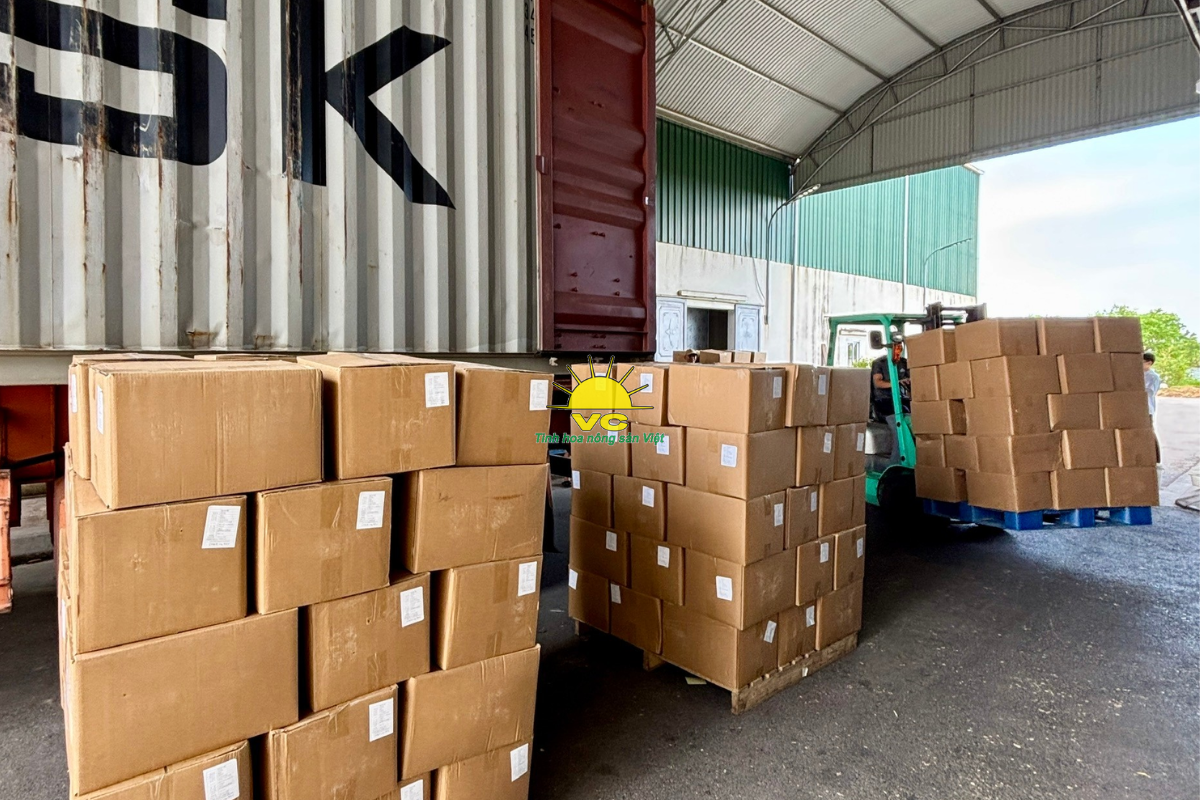 Công ty Vũ Công – Hành trình từ hộ kinh doanh gia đình đến đế chế nông sản xuất khẩu toàn cầu