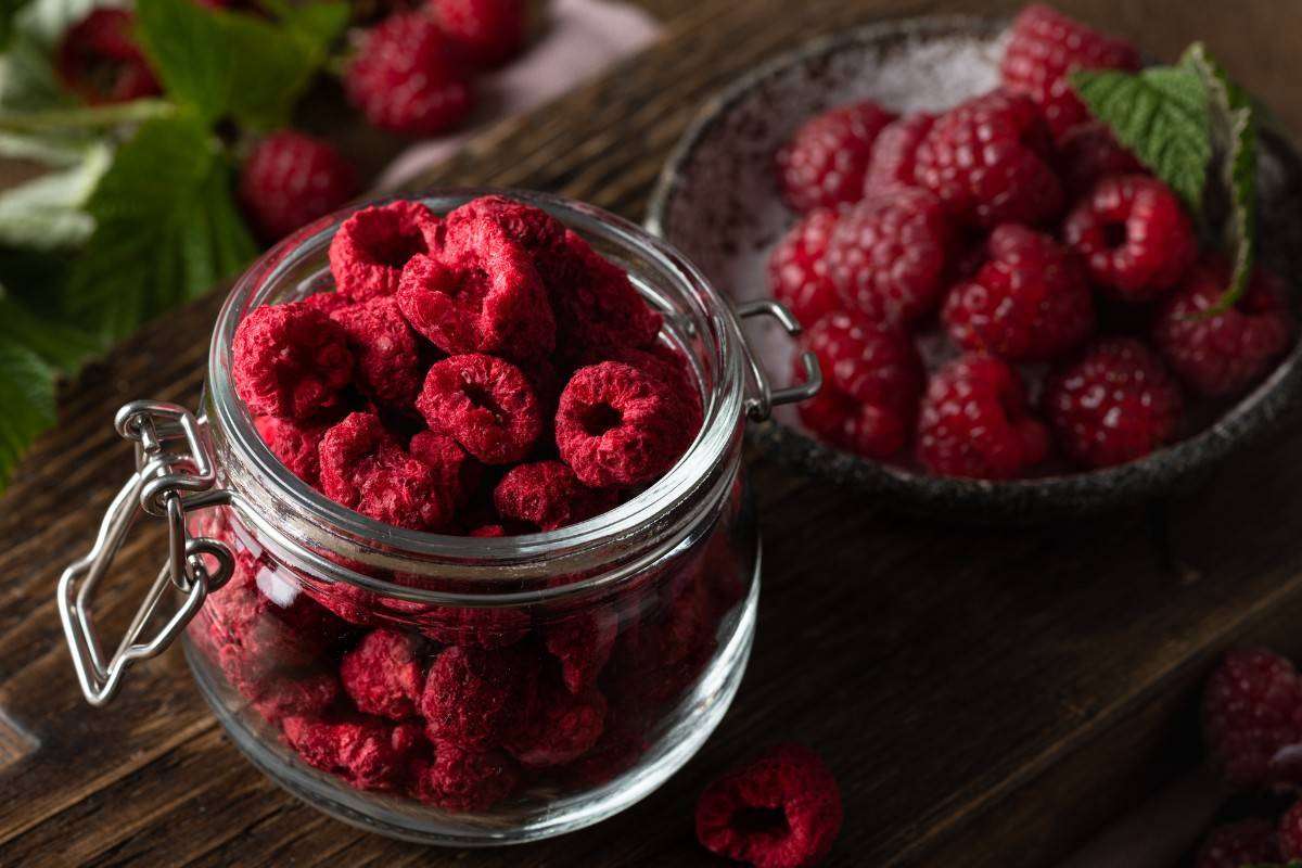 Sấy chân không – Giải pháp giữ trọn dinh dưỡng & chất lượng thực phẩm