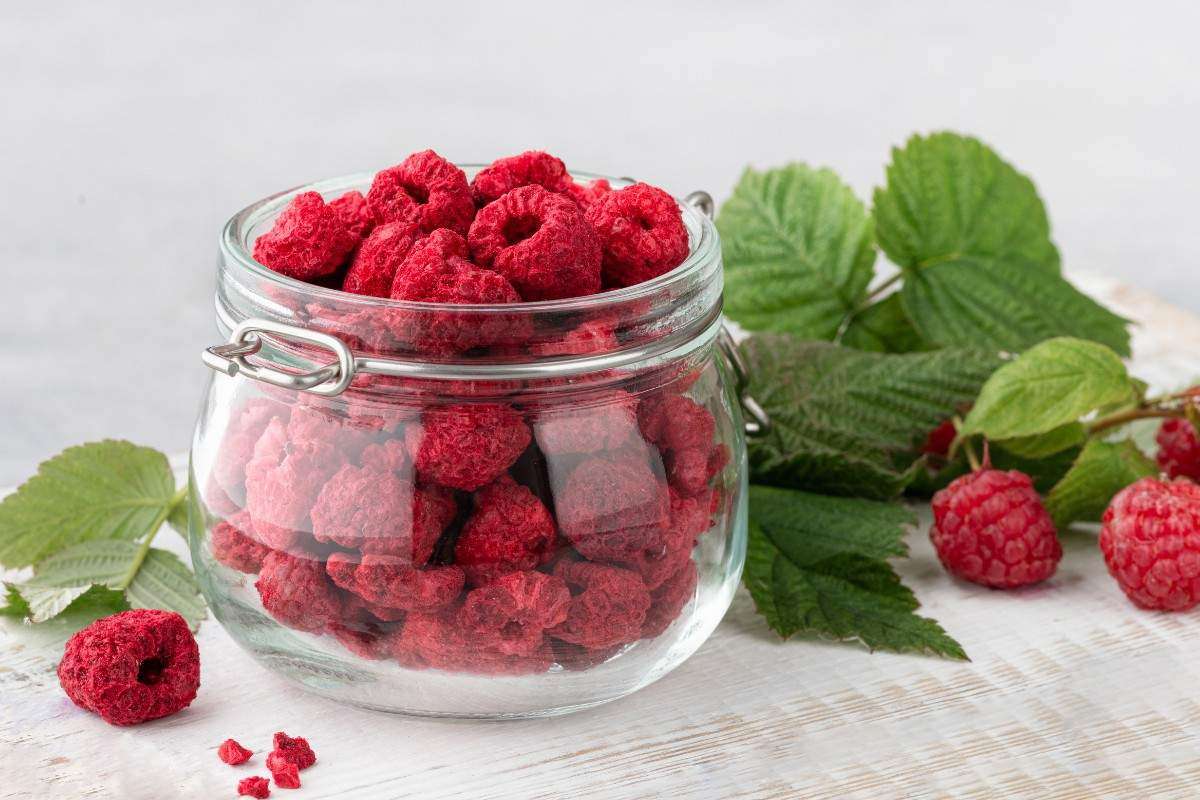 Sấy thăng hoa là gì? Nguyên lý, quy trình và ứng dụng thực tiễn