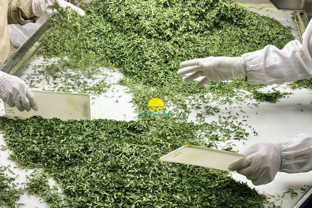 5 Lý do bạn nên mua hàng nông sản tại Công ty TNHH Một Thành Viên Vũ Công