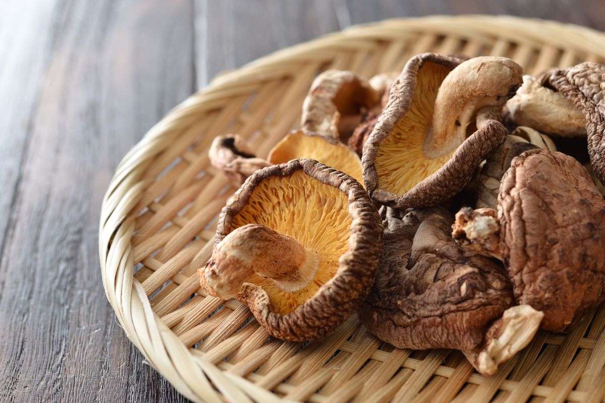 Sấy thăng hoa là gì? Nguyên lý, quy trình và ứng dụng thực tiễn