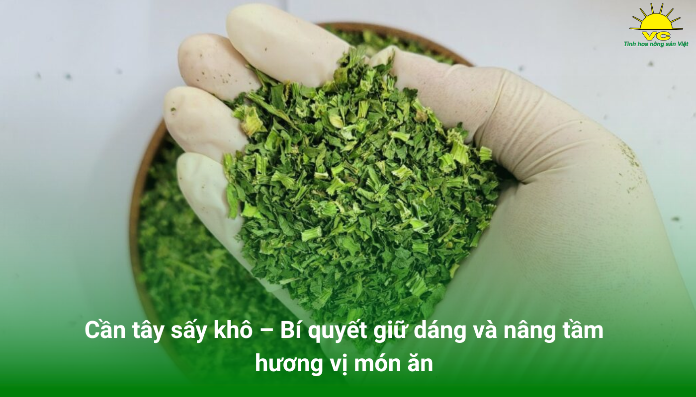 Cần tây sấy khô – Bí quyết giữ dáng và nâng tầm hương vị món ăn