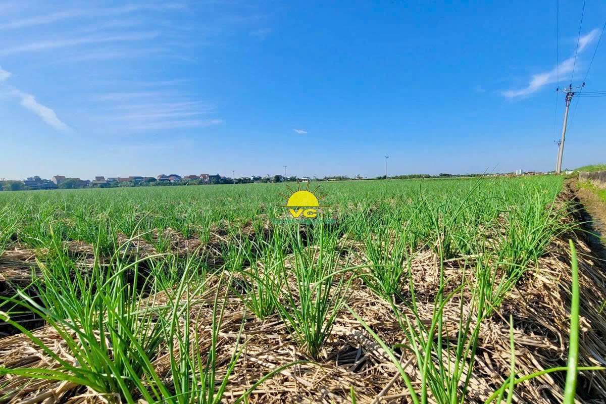 Bí quyết tạo nên nông sản sấy khô chất lượng từ Nhà máy Vũ Công