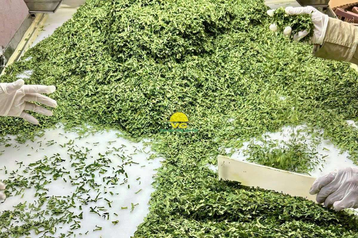 Bí quyết tạo nên nông sản sấy khô chất lượng từ Nhà máy Vũ Công