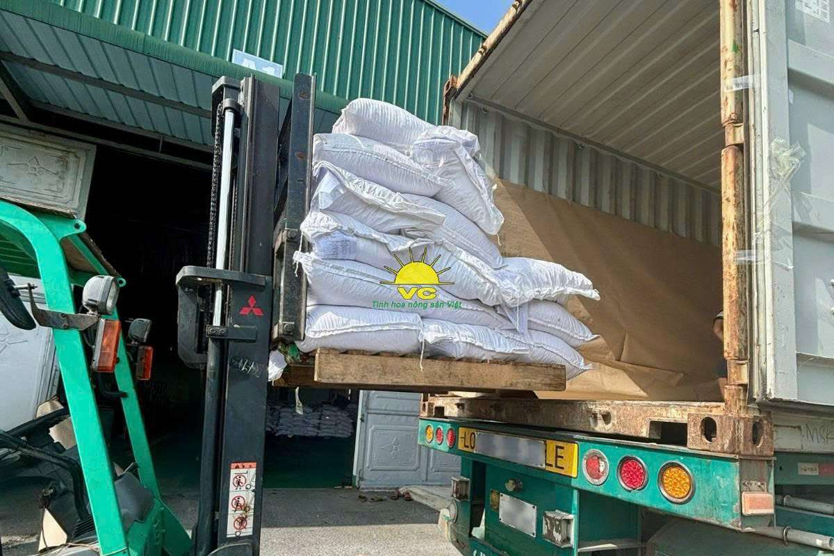 Bí quyết tạo nên nông sản sấy khô chất lượng từ Nhà máy Vũ Công