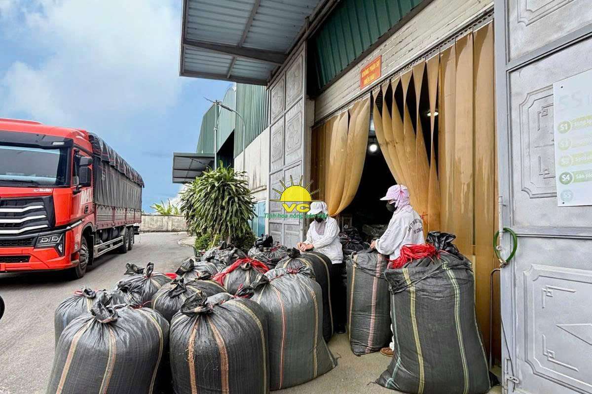 Bí quyết tạo nên nông sản sấy khô chất lượng từ Nhà máy Vũ Công