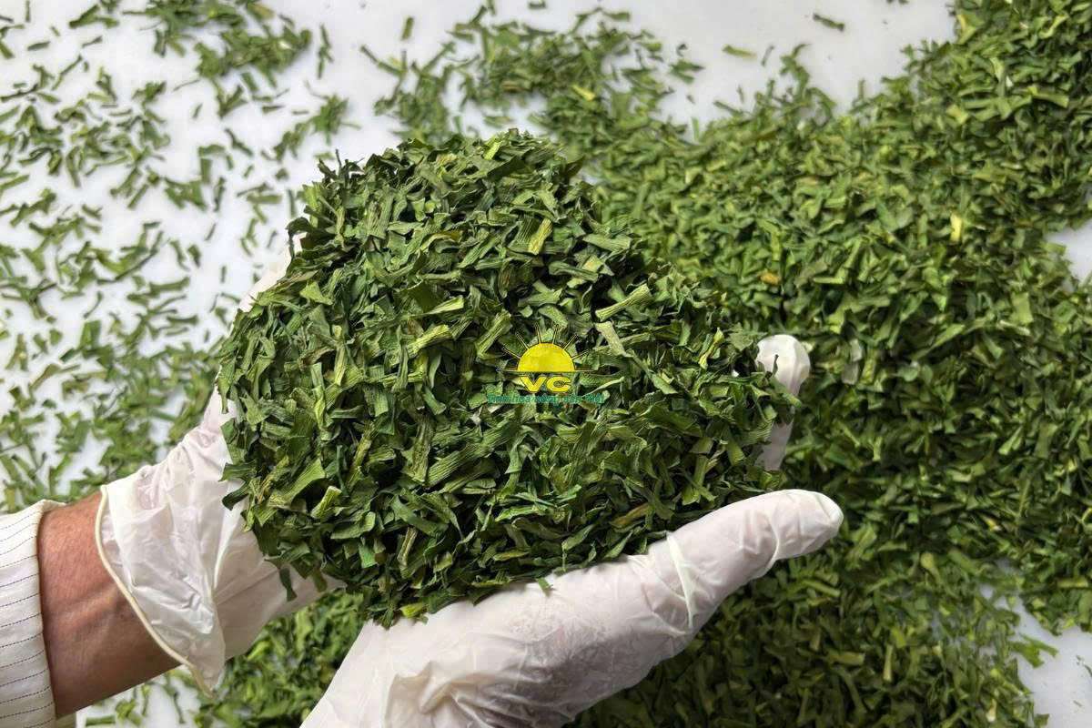 Bí quyết tạo nên nông sản sấy khô chất lượng từ Nhà máy Vũ Công