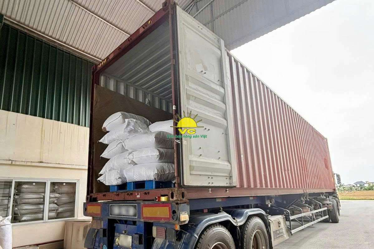 Cơ hội nào cho doanh nghiệp Việt khẳng định vị thế của mình trên bản đồ quốc tế trong lĩnh vực nông sản sấy?