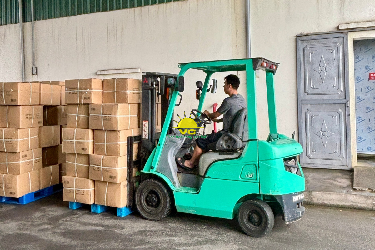 Nhà máy Vũ Công và công nghệ sấy hiện đại – Giữ trọn hương vị, nâng tầm nông sản Việt