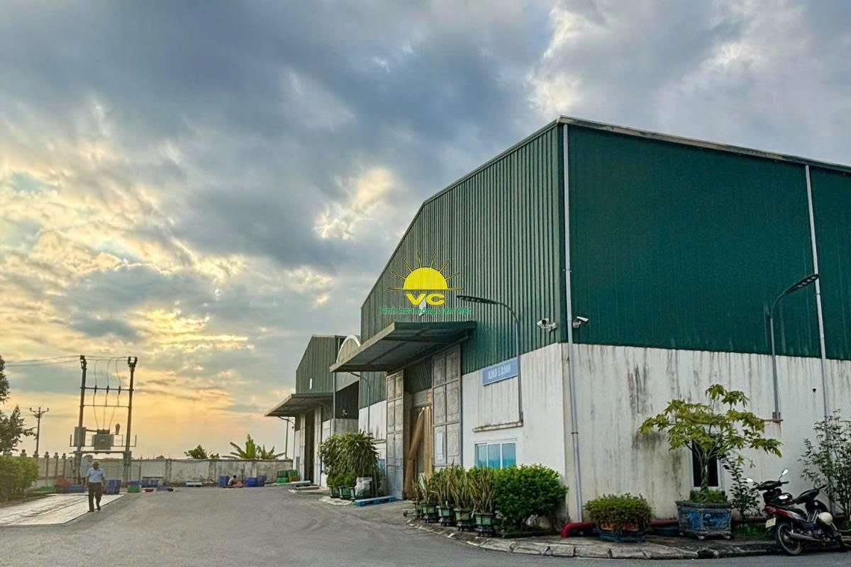 Nhà máy Vũ Công và công nghệ sấy hiện đại – Giữ trọn hương vị, nâng tầm nông sản Việt