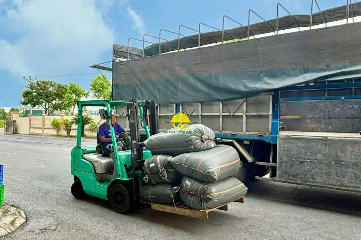 Công ty Vũ Công: Đầu tư công nghệ – Chìa khoá giúp nông sản Việt chinh phục thị trường quốc tế