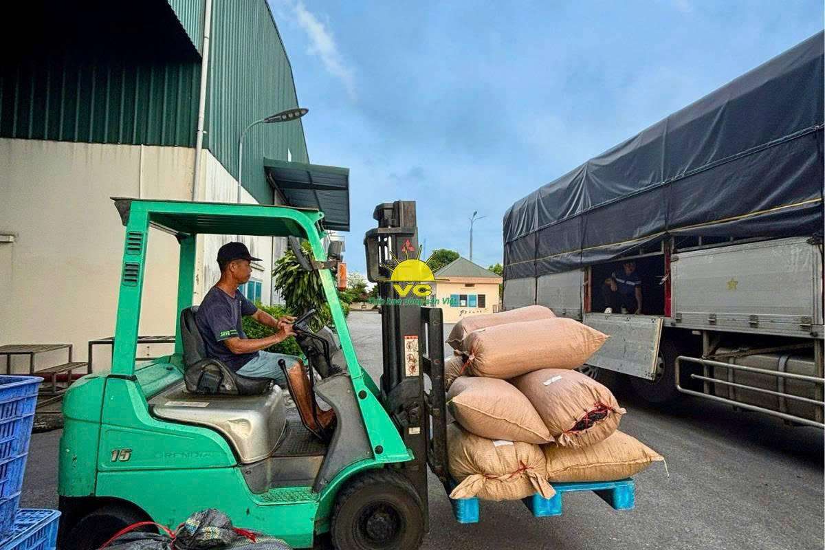Công ty Vũ Công: Đầu tư công nghệ – Chìa khoá giúp nông sản Việt chinh phục thị trường quốc tế