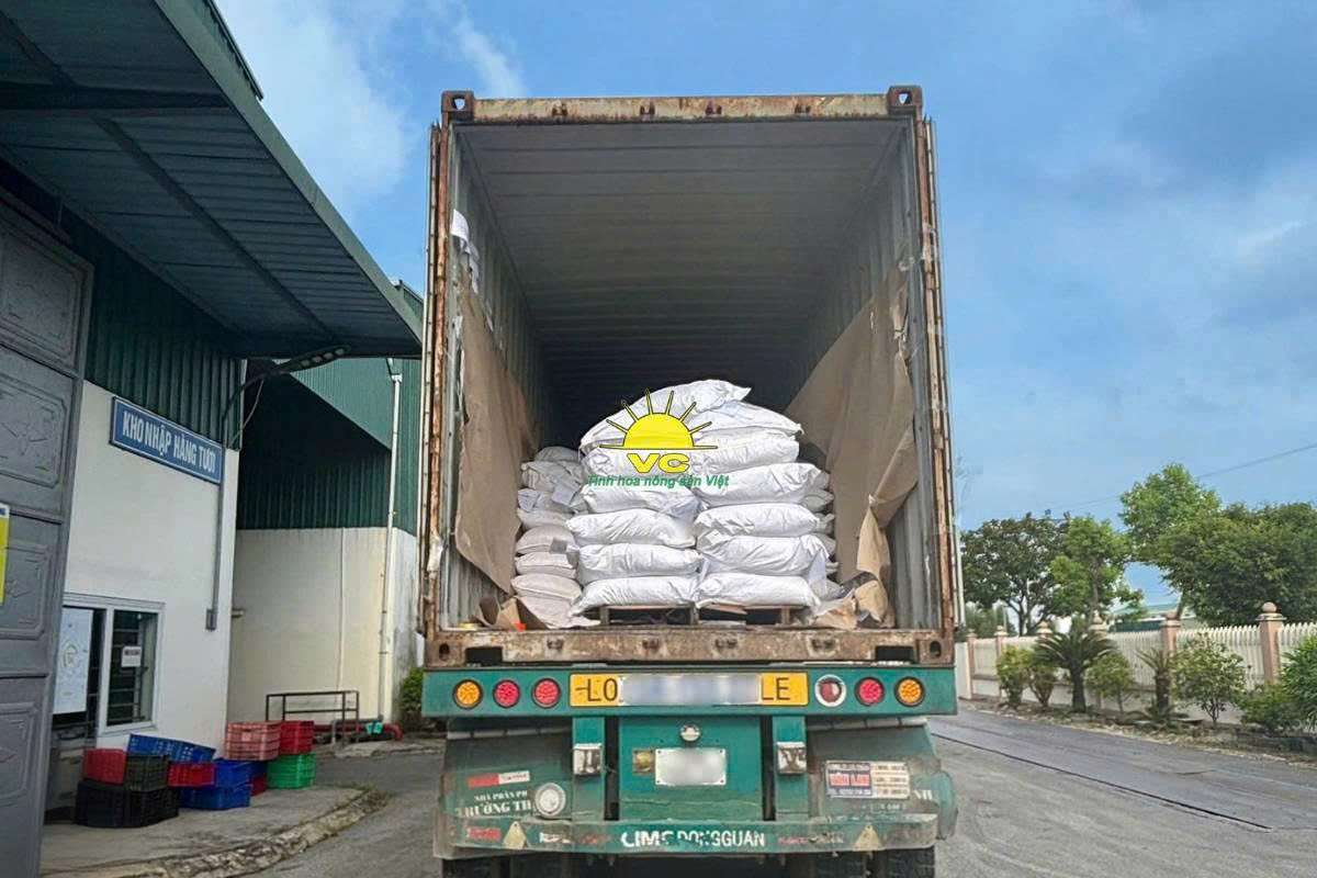 Công ty Vũ Công: Đầu tư công nghệ – Chìa khoá giúp nông sản Việt chinh phục thị trường quốc tế