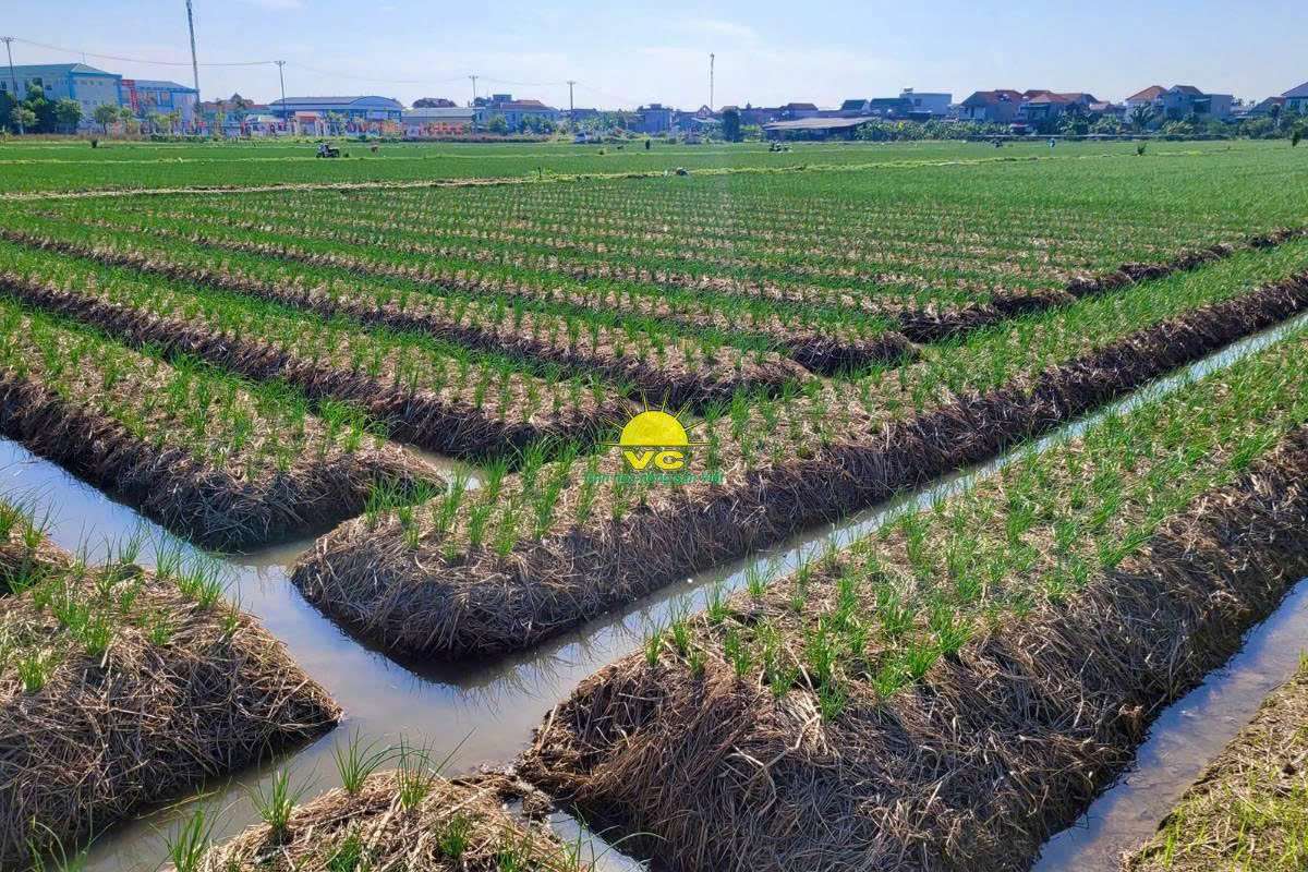 Vì sao đối tác tin tưởng nhà máy Vũ Công?