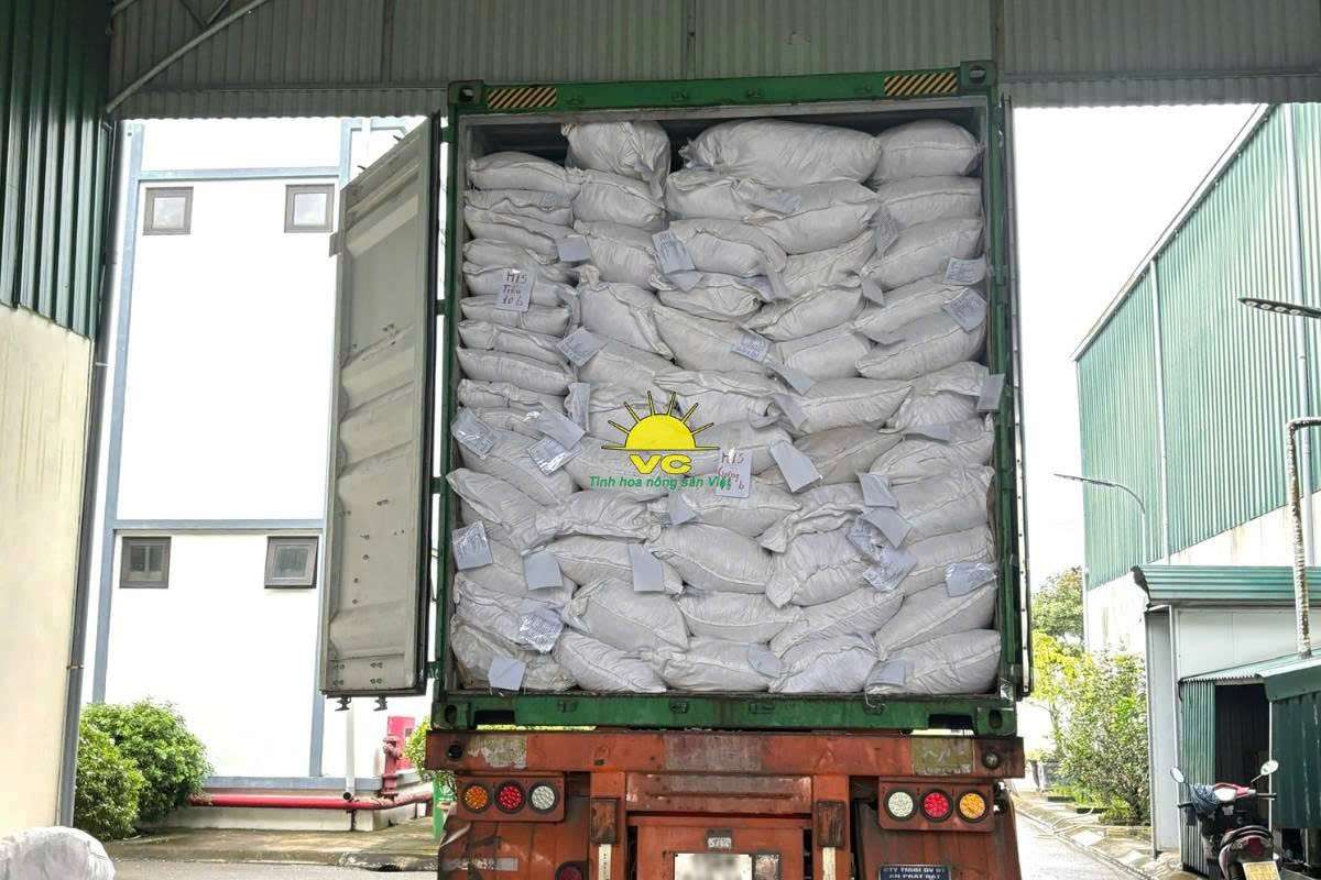 Đồng hành cùng đối tác: Nhà máy Vũ Công đảm bảo ổn định nguồn cung nông sản sấy