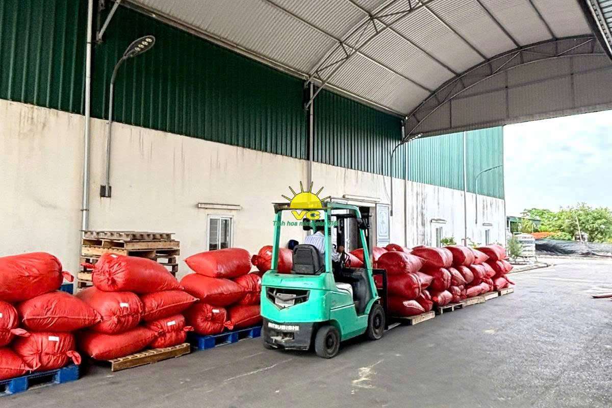 Đồng hành cùng đối tác: Nhà máy Vũ Công đảm bảo ổn định nguồn cung nông sản sấy