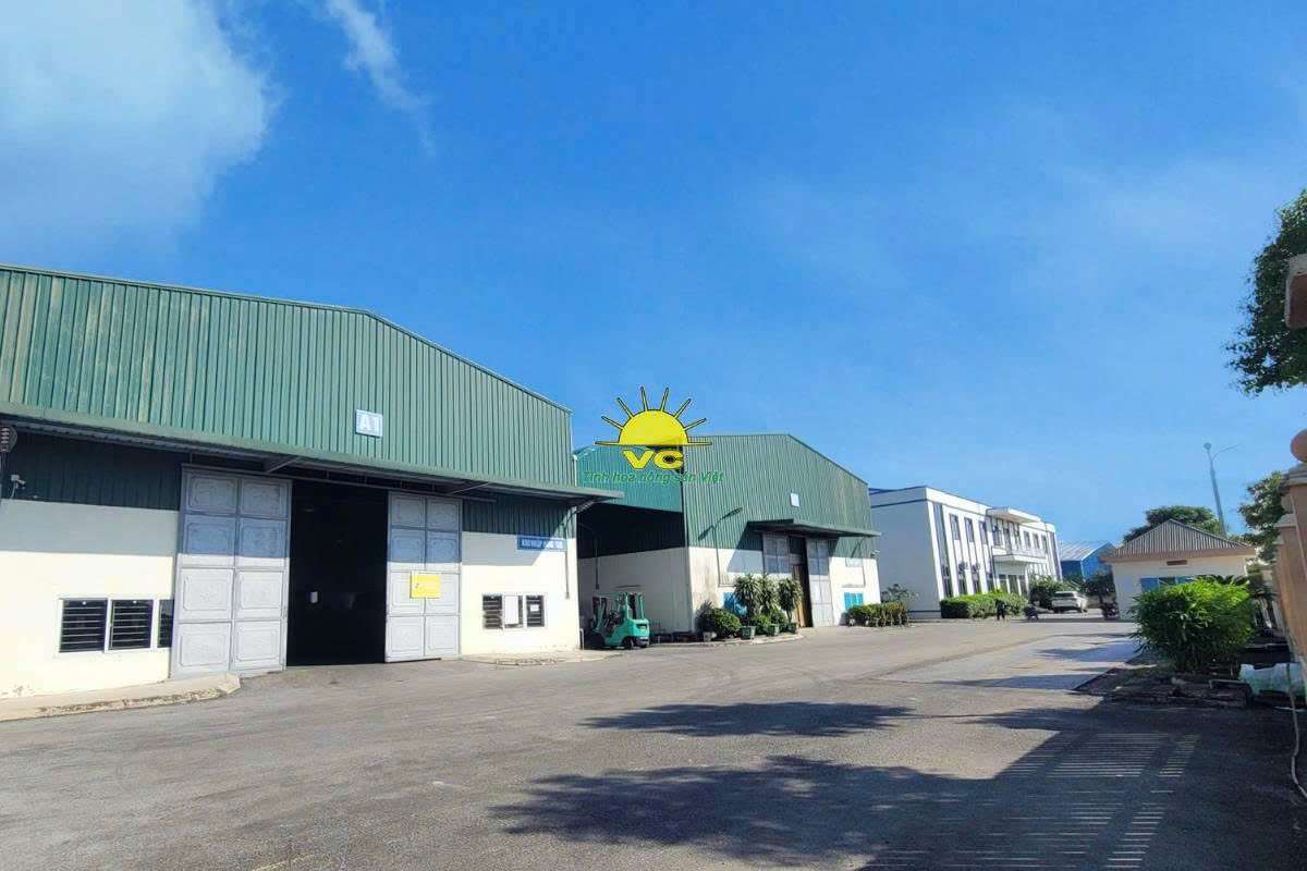 Giá trị cốt lõi và tầm nhìn thương hiệu Công ty TNHH Một Thành Viên Vũ Công trong ngành nông sản