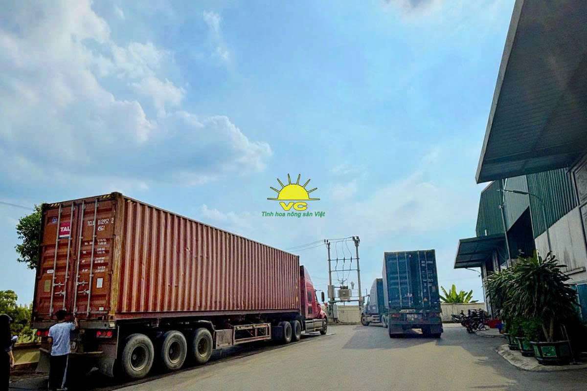 Giá trị cốt lõi và tầm nhìn thương hiệu Công ty TNHH Một Thành Viên Vũ Công trong ngành nông sản