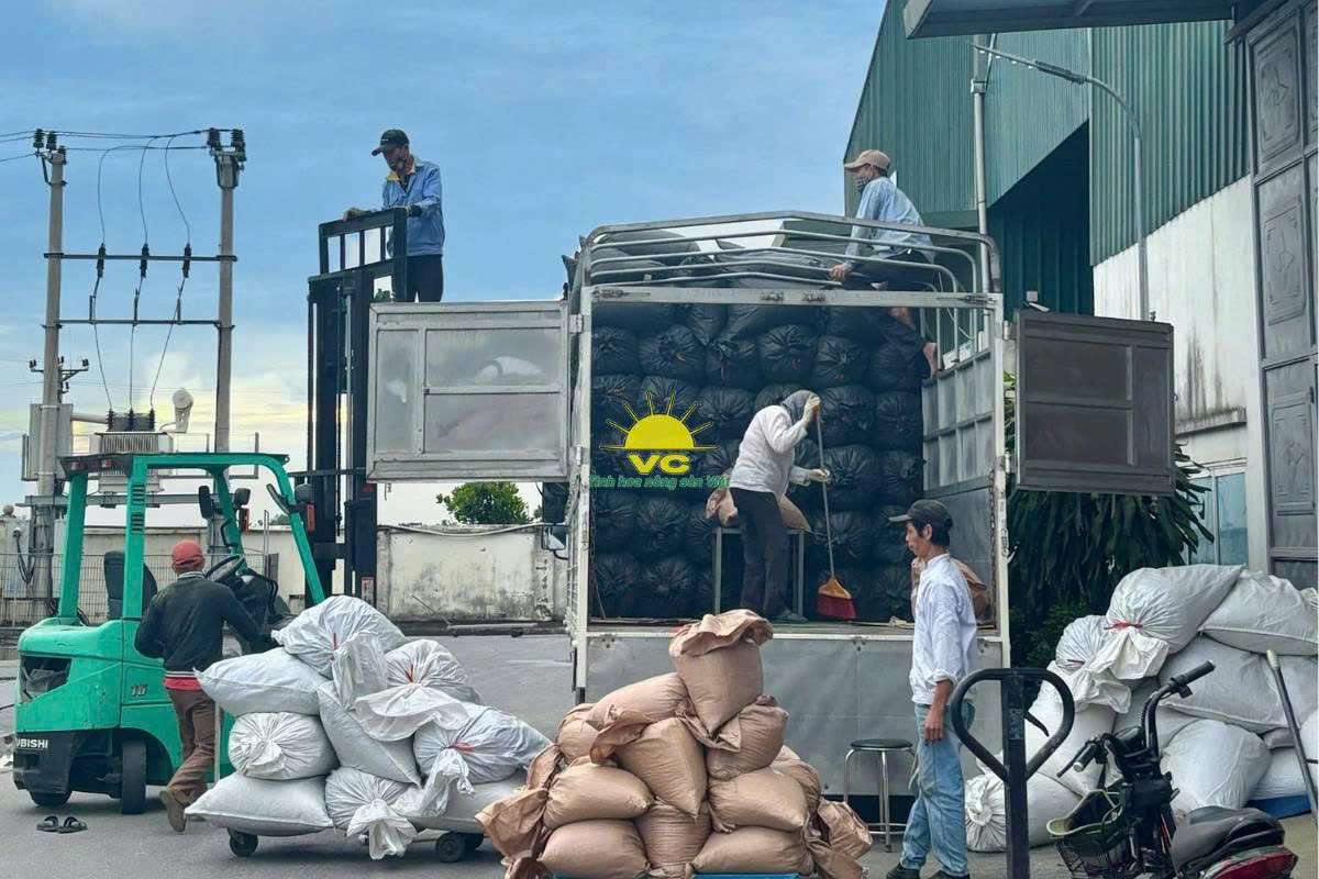 Giá trị cốt lõi và tầm nhìn thương hiệu Công ty TNHH Một Thành Viên Vũ Công trong ngành nông sản