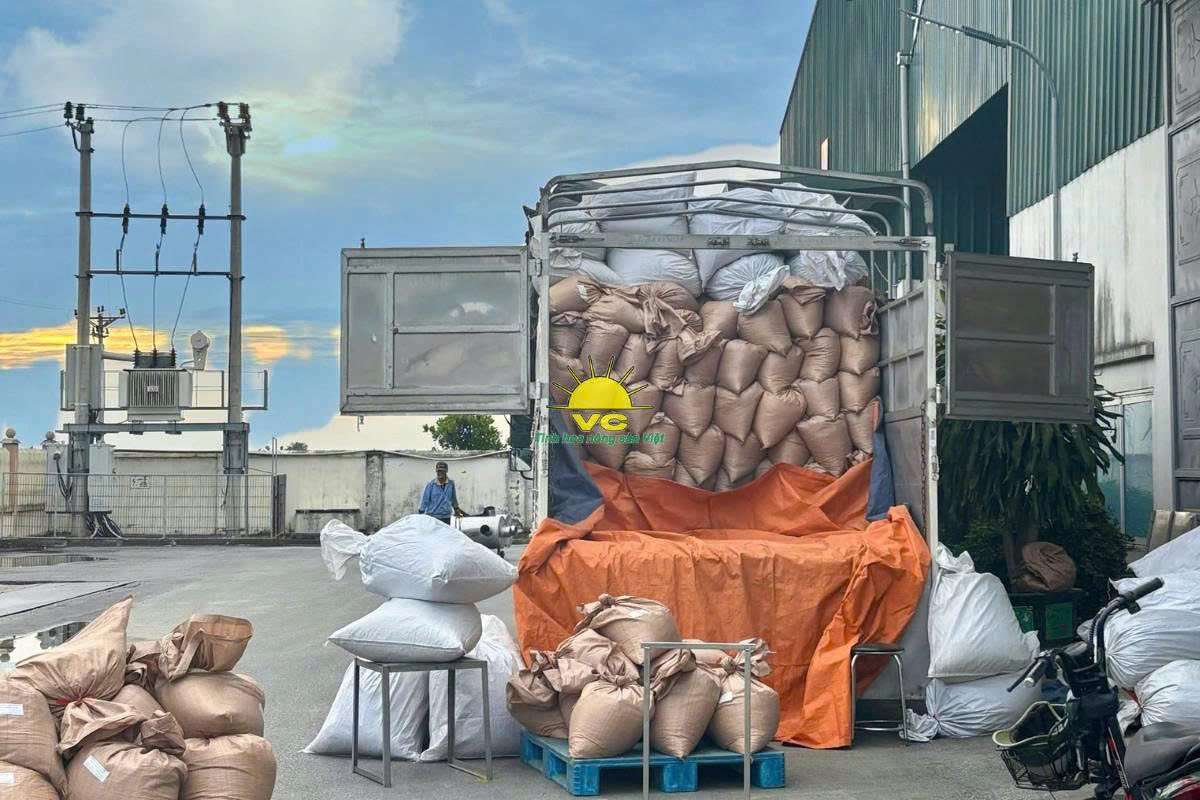 Giá trị cốt lõi và tầm nhìn thương hiệu Công ty TNHH Một Thành Viên Vũ Công trong ngành nông sản