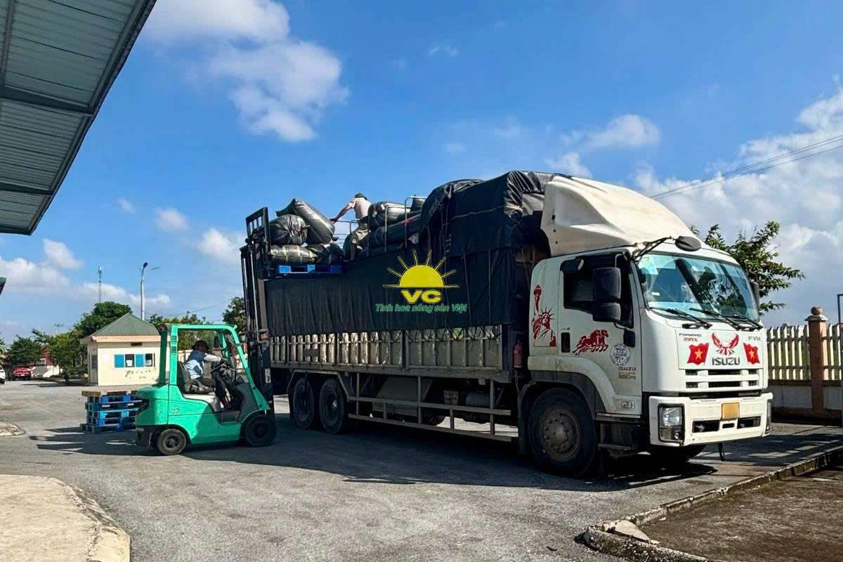 Công ty TNHH Một Thành Viên Vũ Công – Giải pháp nguyên liệu an toàn, chất lượng cho ngành F&B