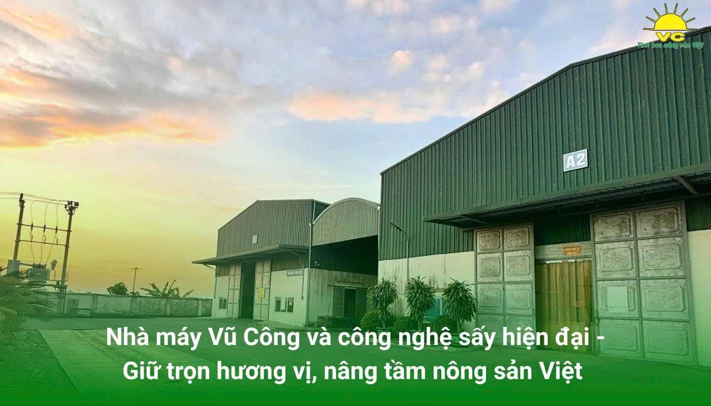 Nhà máy Vũ Công và công nghệ sấy hiện đại - Giữ trọn hương vị, nâng tầm nông sản Việt