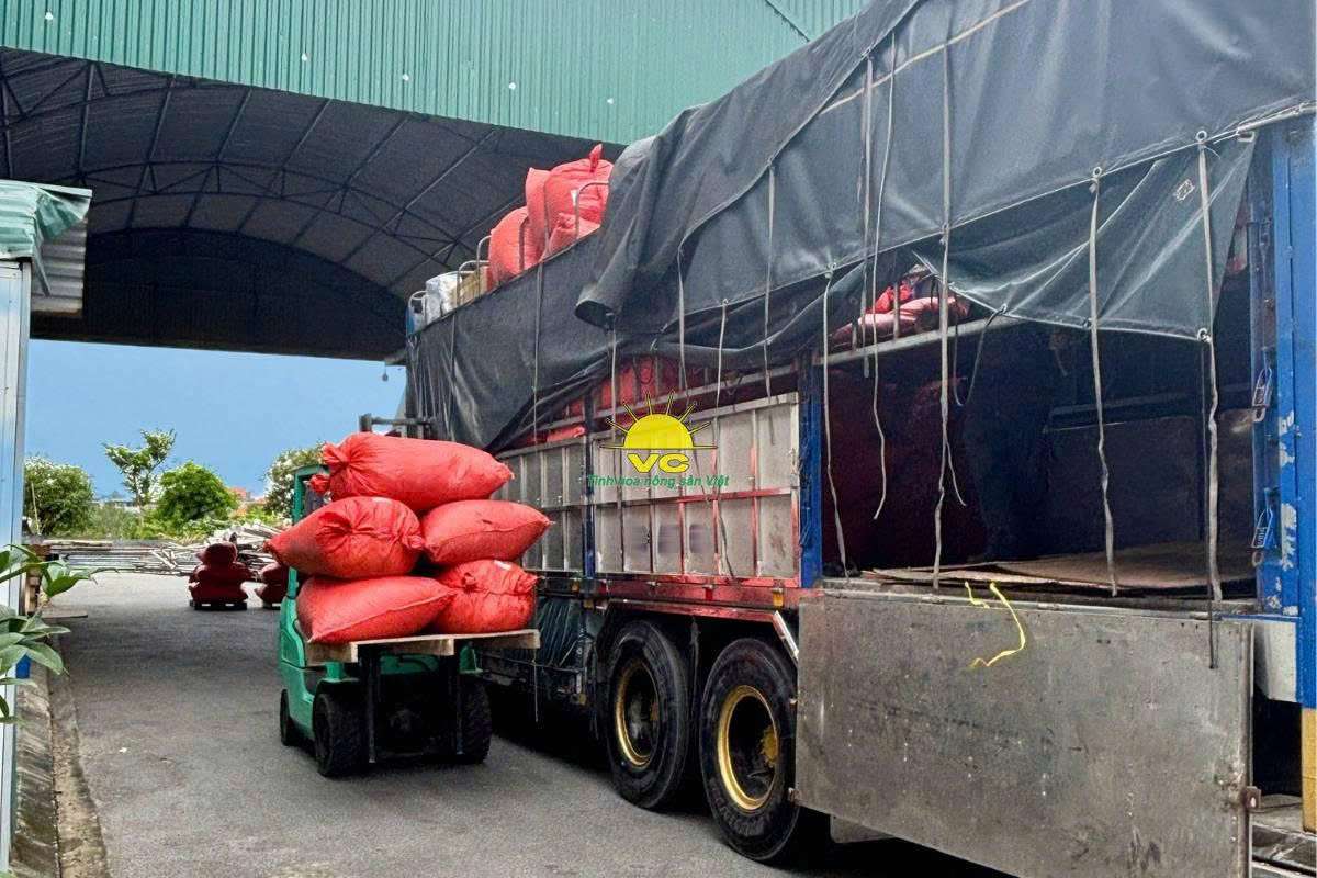 Quy trình sản xuất nông sản sấy khô tại nhà máy Vũ Công