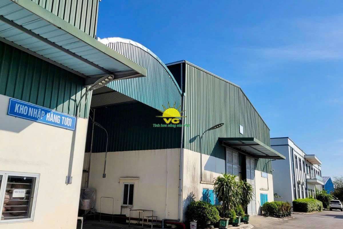 Quy trình sản xuất nông sản sấy khô tại nhà máy Vũ Công