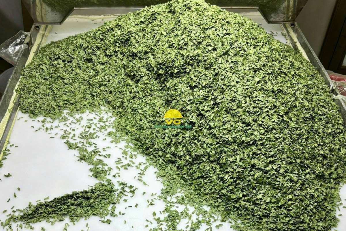 Quy trình sản xuất nông sản sấy khô tại nhà máy Vũ Công