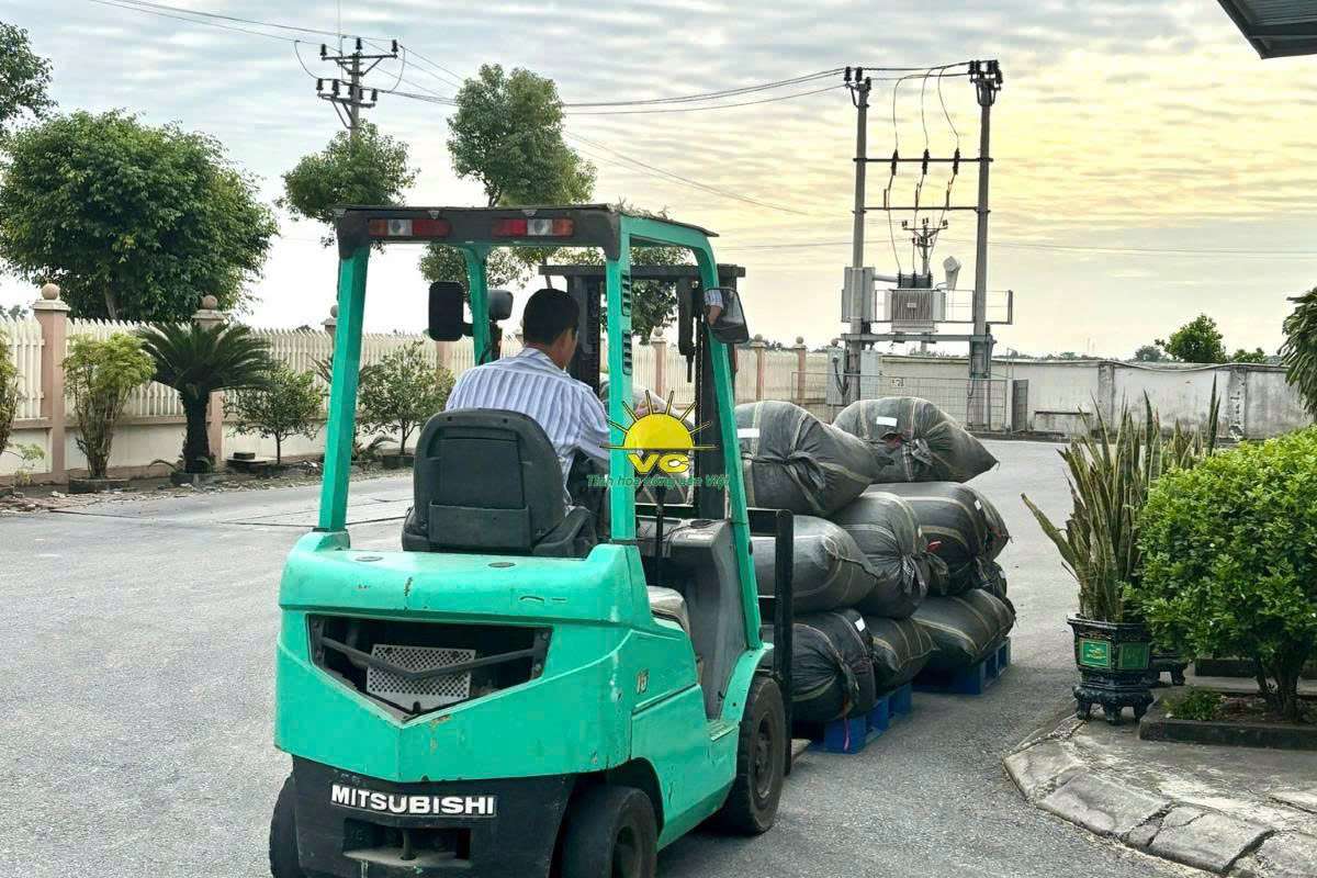 Công ty TNHH Một Thành Viên Vũ Công và hành trình xây dựng thương hiệu nông sản Việt bền vững