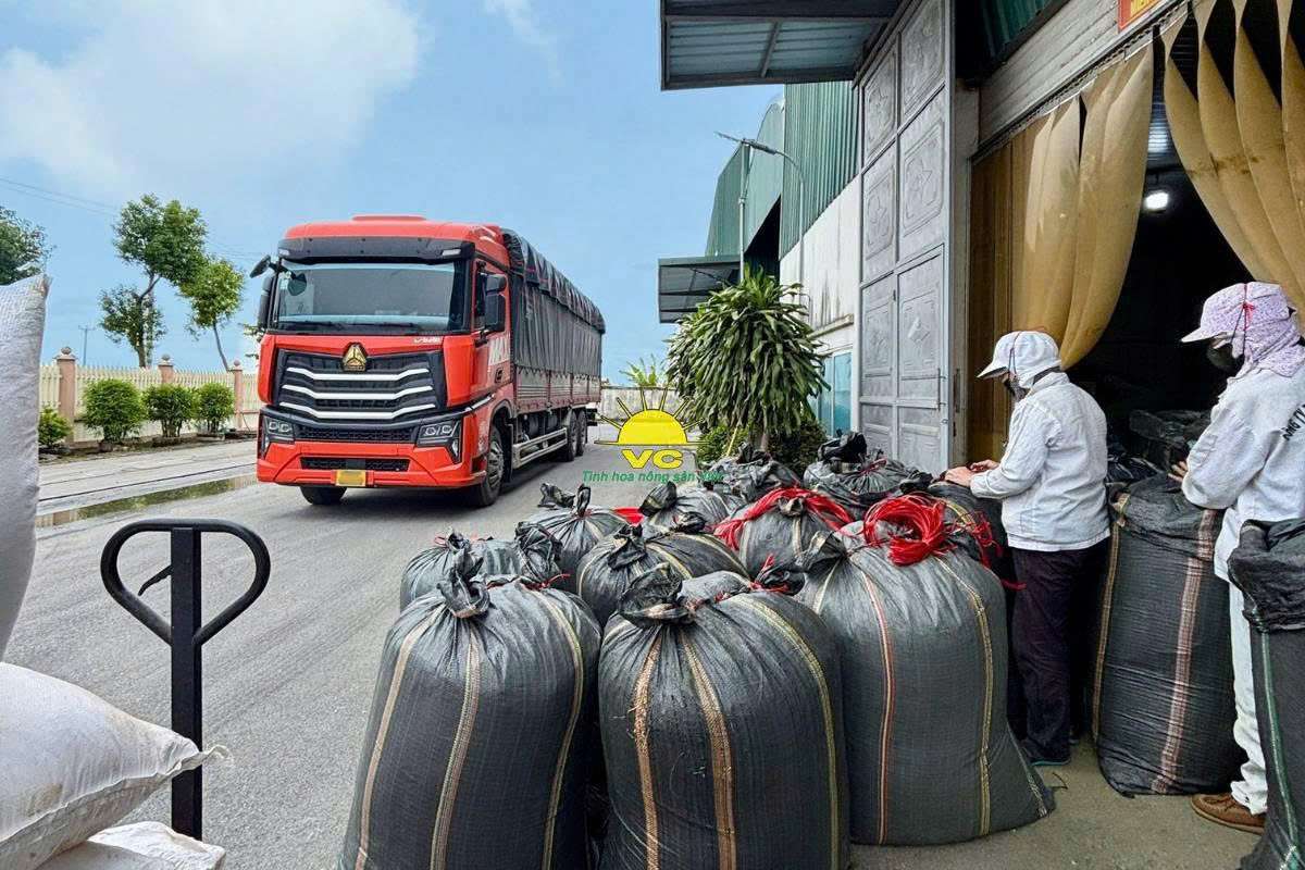 Công ty TNHH Một Thành Viên Vũ Công và hành trình xây dựng thương hiệu nông sản Việt bền vững