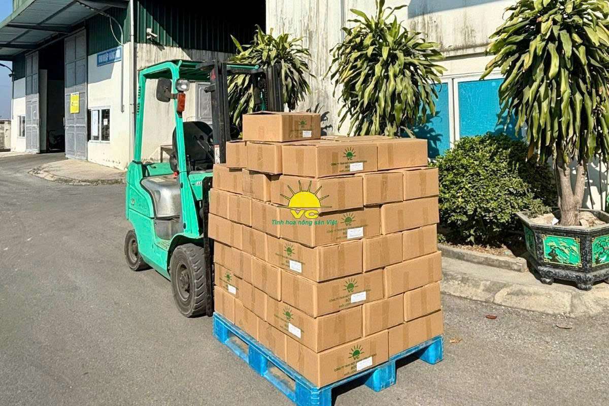 Thương hiệu Việt chinh phục thế giới: Vì sao các đối tác quốc tế chọn nông sản Vũ Công