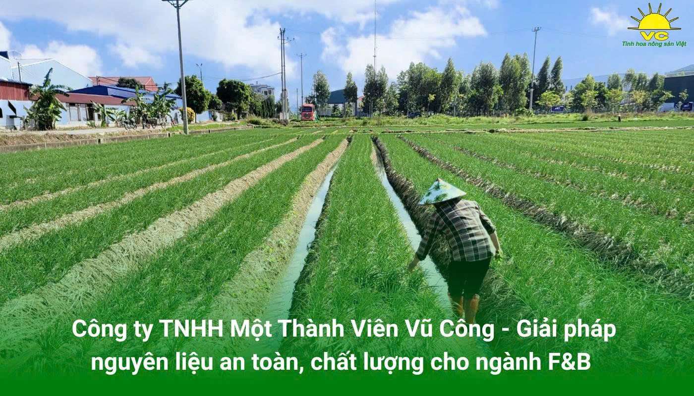 Vũ Công - Giải pháp nguyên liệu an toàn, chất lượng cho ngành F&B