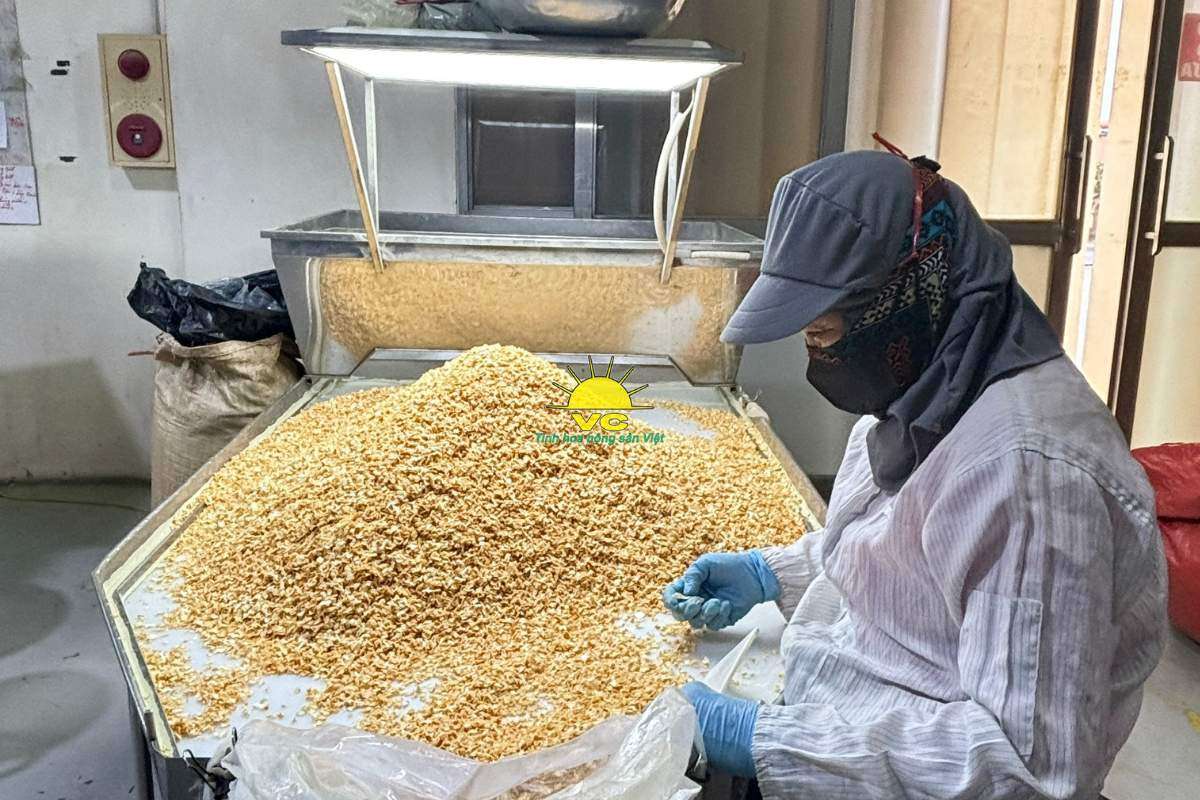 Cách nhà máy Vũ Công giúp nông dân ổn định thu nhập qua chuỗi cung ứng khép kín