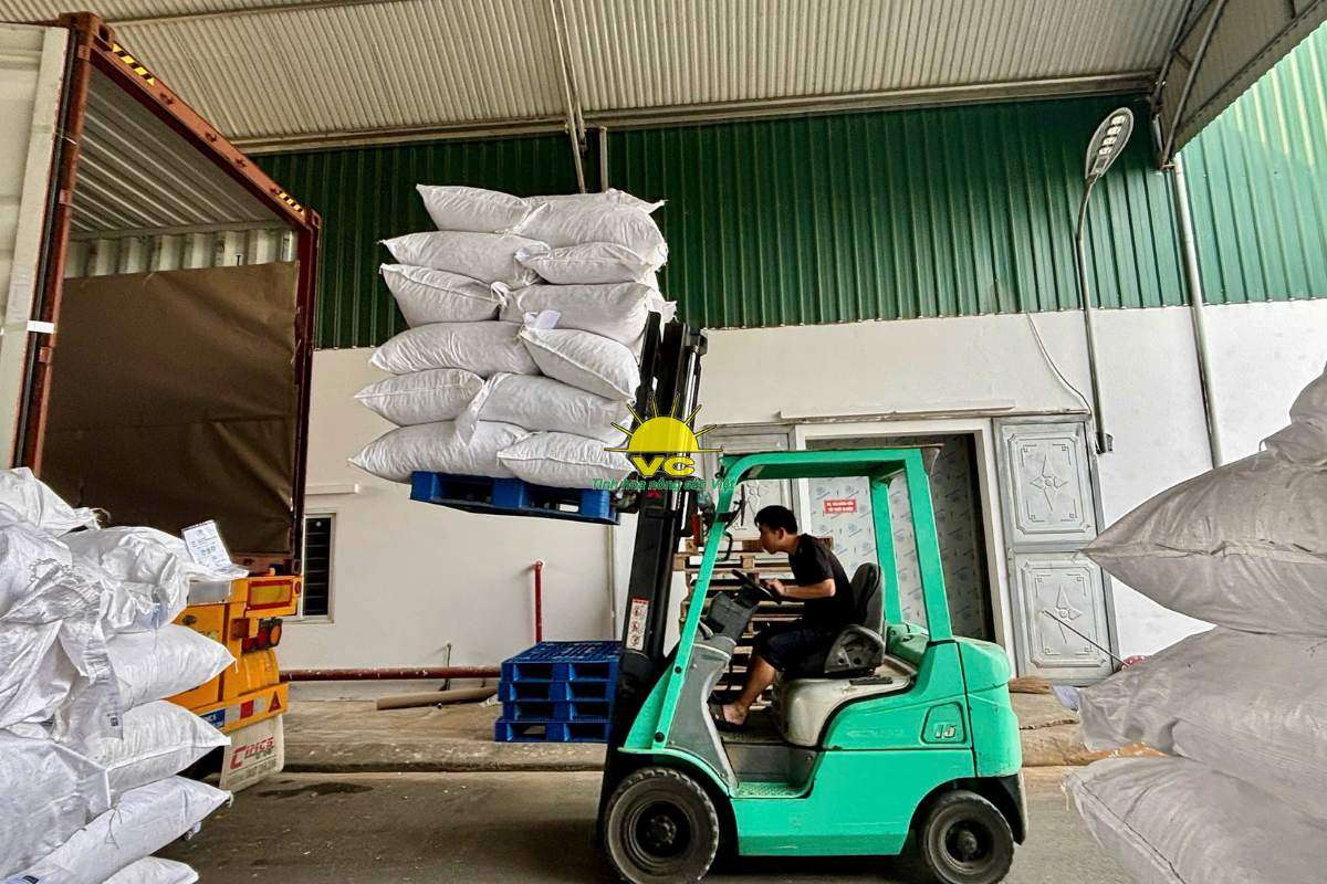 Nhà máy Vũ Công và công nghệ sấy hiện đại – Giữ trọn hương vị, nâng tầm nông sản Việt