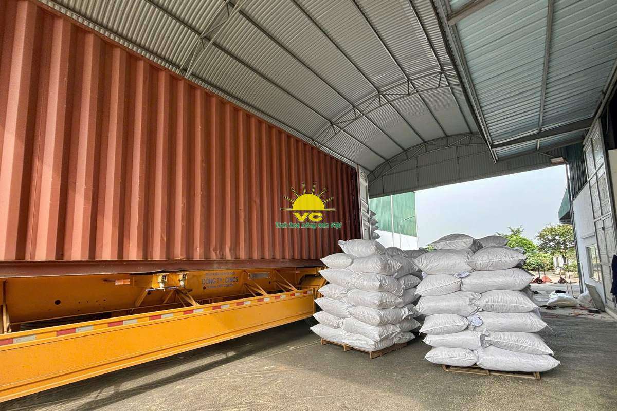 Nhà máy Vũ Công và công nghệ sấy hiện đại – Giữ trọn hương vị, nâng tầm nông sản Việt