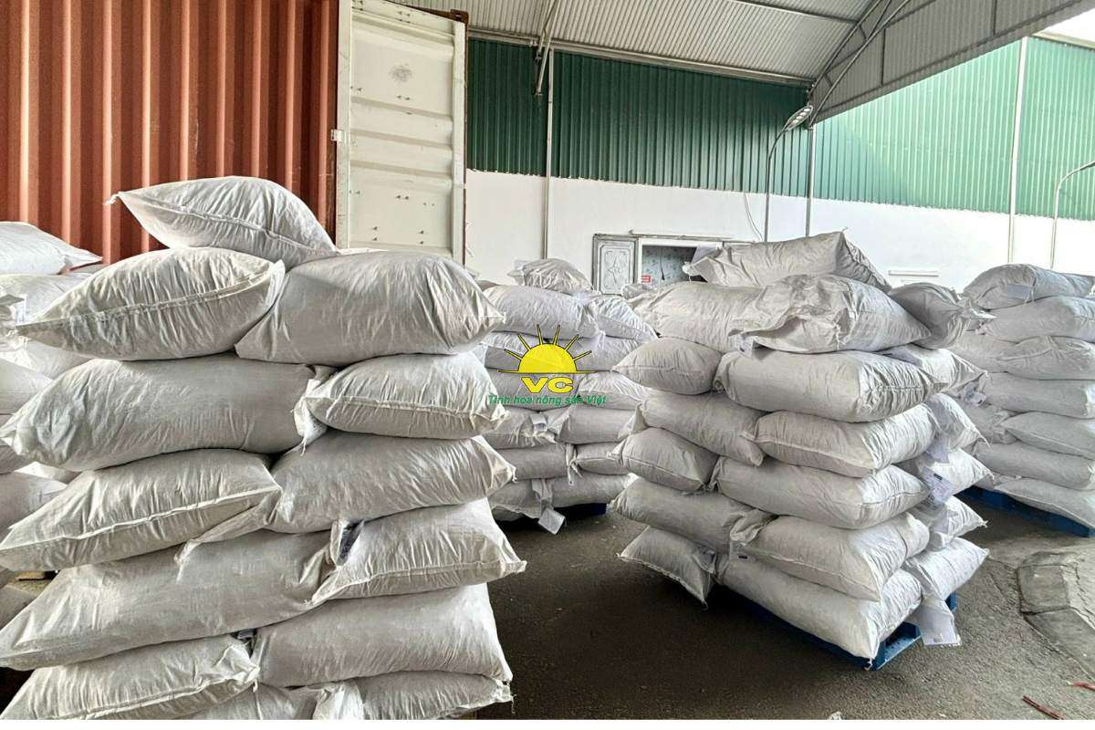 Nhà máy Vũ Công và công nghệ sấy hiện đại – Giữ trọn hương vị, nâng tầm nông sản Việt