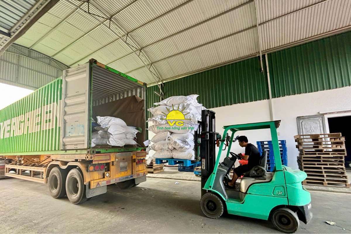 Nhà máy Vũ Công và công nghệ sấy hiện đại – Giữ trọn hương vị, nâng tầm nông sản Việt