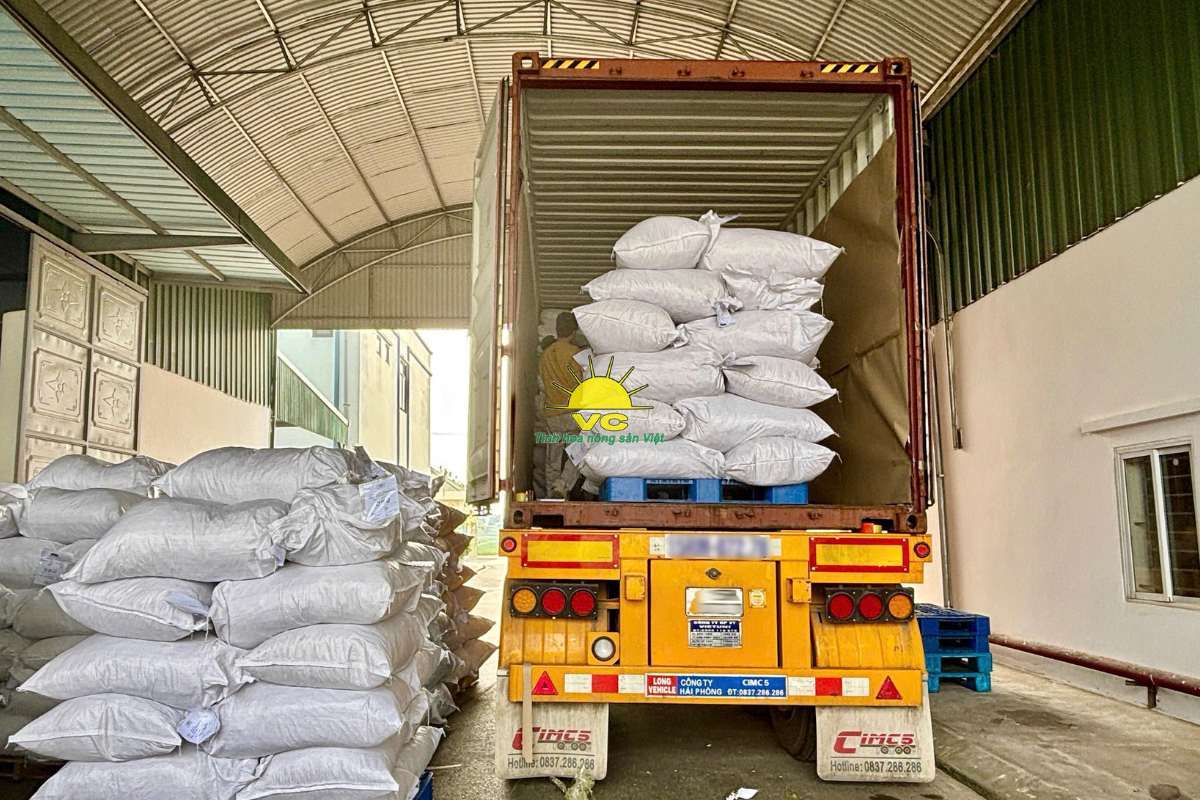 Nhà máy Vũ Công và công nghệ sấy hiện đại – Giữ trọn hương vị, nâng tầm nông sản Việt